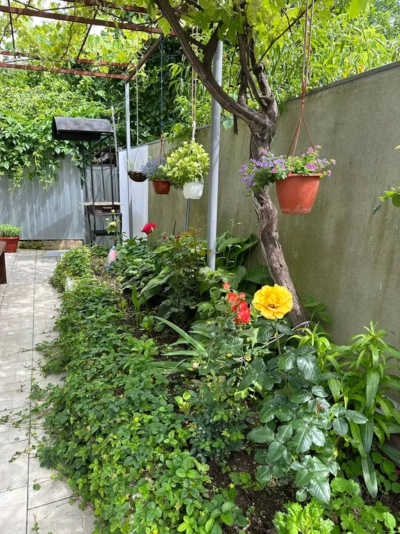 Дом у реки Белая