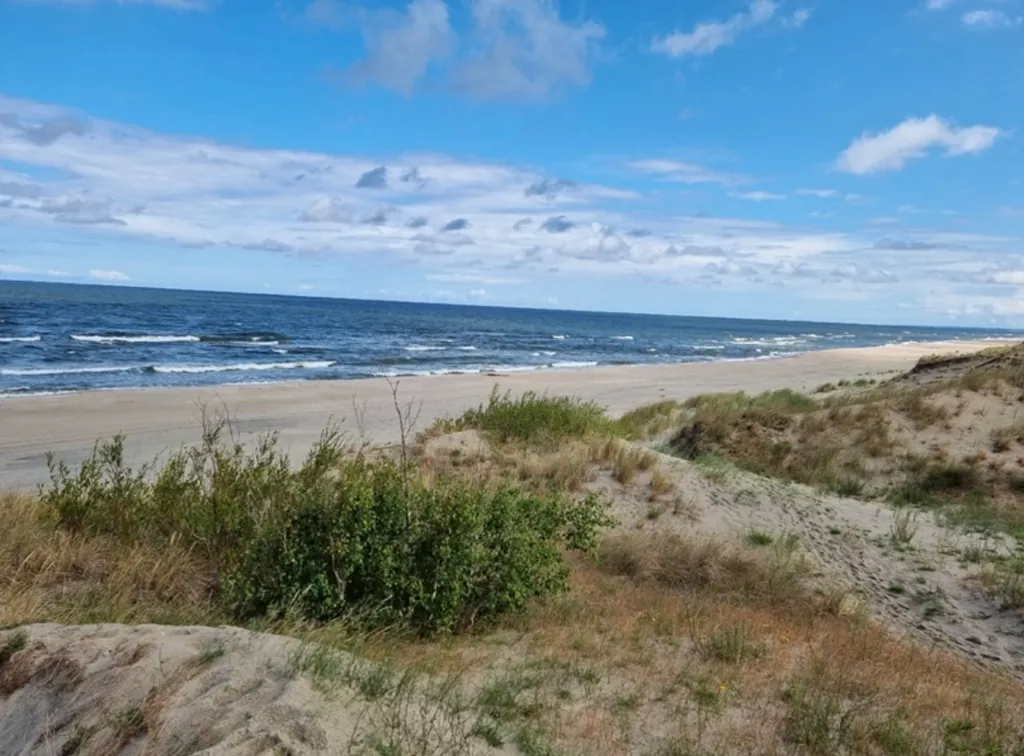 Уютный дом на Куршской Косе