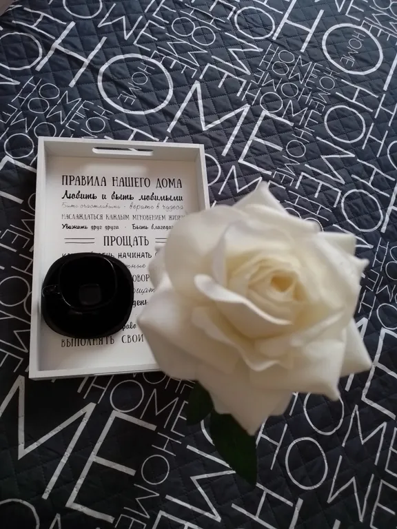 Квартира, с любовью в элитном районе города