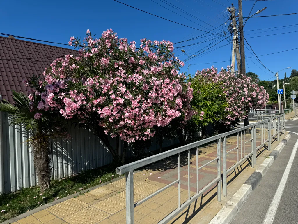 2-местный стандартный номер у моря