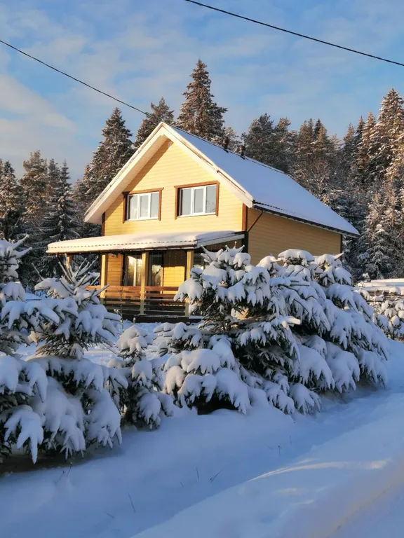 Уютный уголок у леса