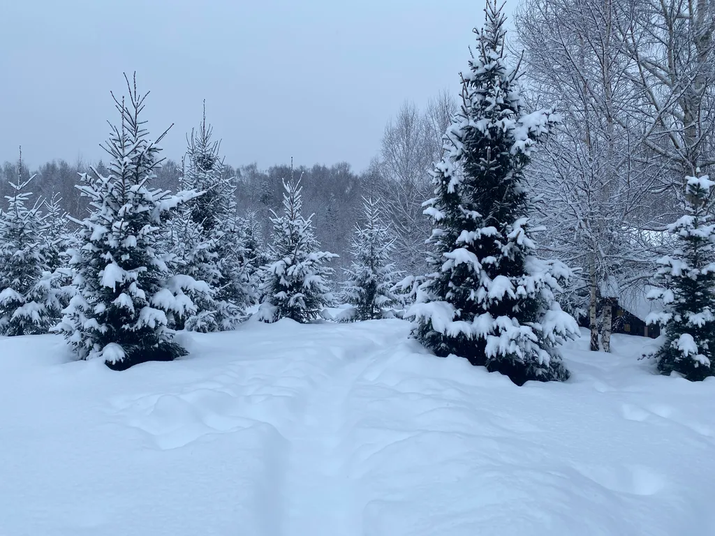Современный коттедж Шон на Истринском водохранилище