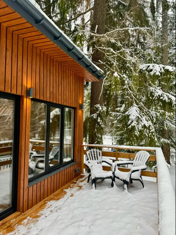 Дом с чаном и сауной в лесу