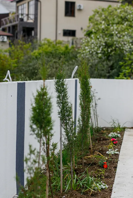 Студия с видом на горы