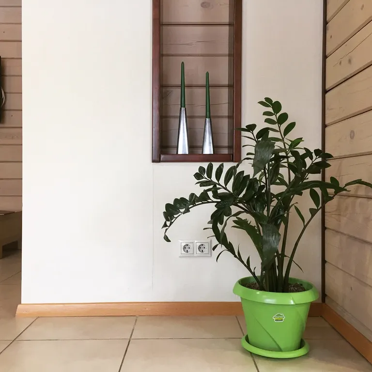 Уютный коттедж на Байкале