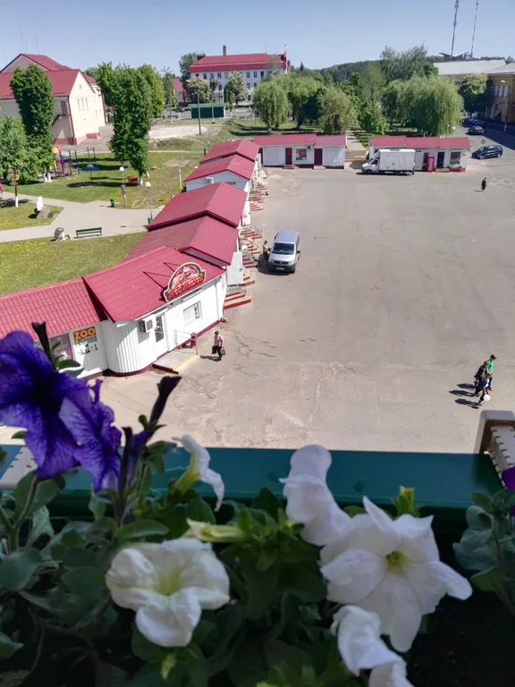 Апартамент-студия Зимняя Вишня