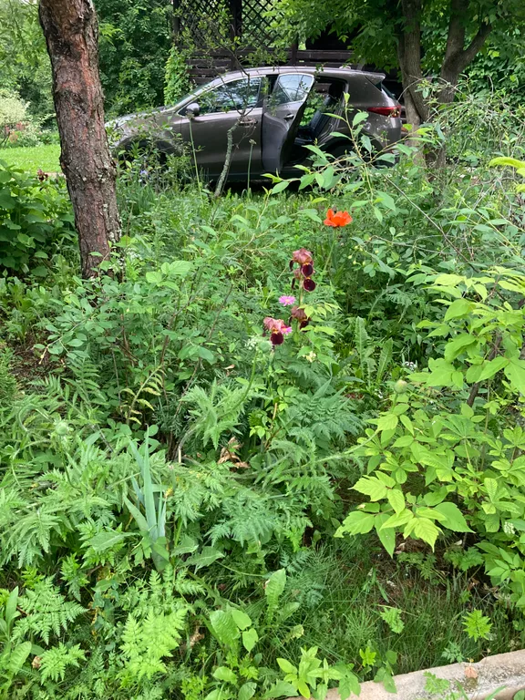 Уютное шале в любое время года