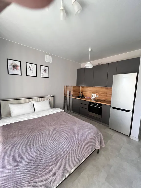 Квартира Апартаменты Чистый взгляд в Покровке рядом с ТЦ Покровскай — Красноярск