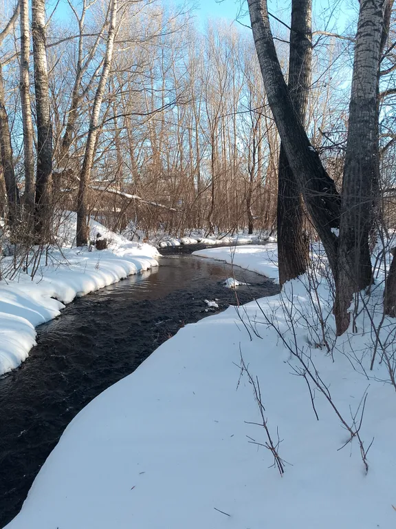 Большой дом с камином и новой баней