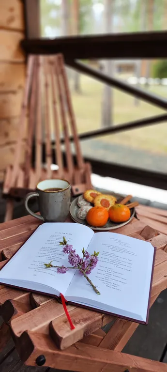 Коттедж Кивач с сауной и видом на озеро