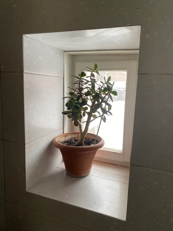 Исторический центр города