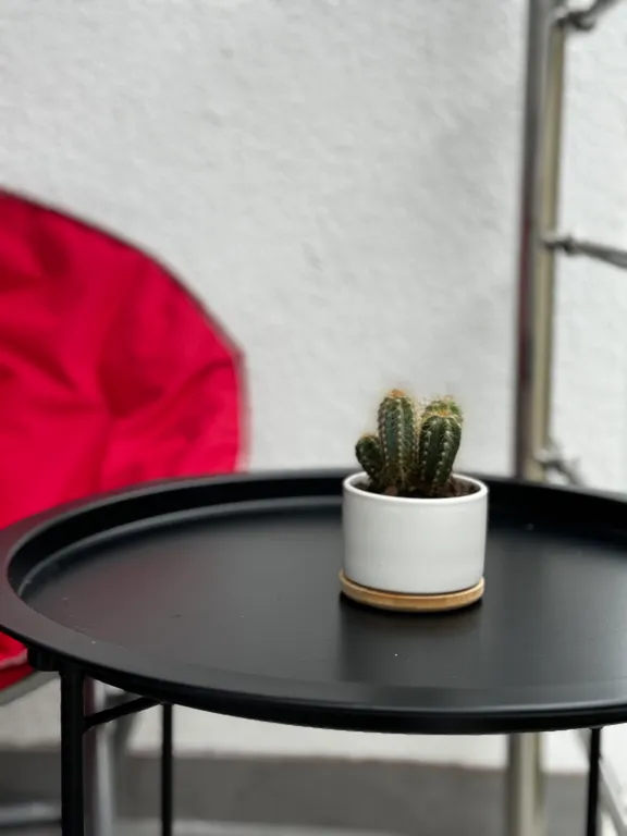 Квартира Квартира Уютная семейная студия — Сириус