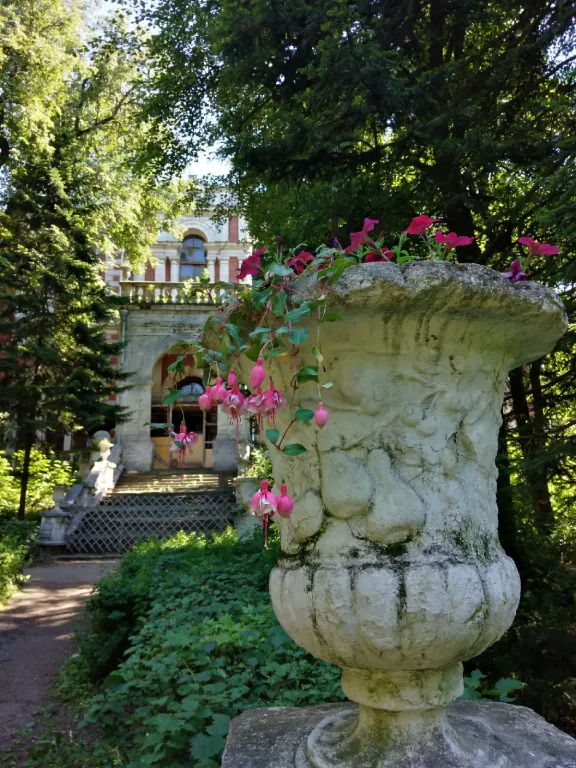 Юрта среди сосен и воздуха