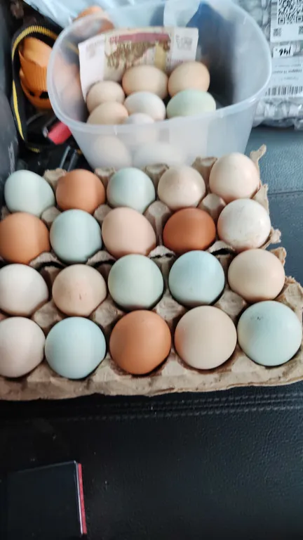 Дом у слияния рек, рядом с историей