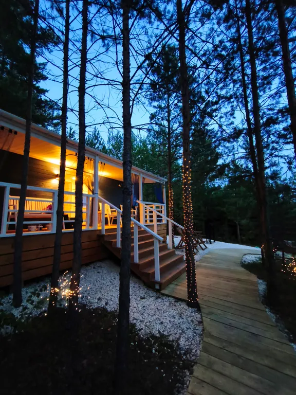 Дом с купелью в сосновом лесу