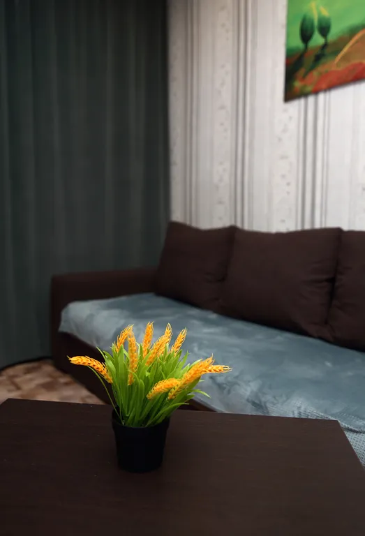 Просторная квартира на правом берегу