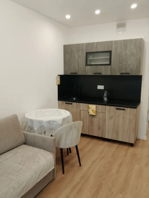 Студия рядом со Внуково