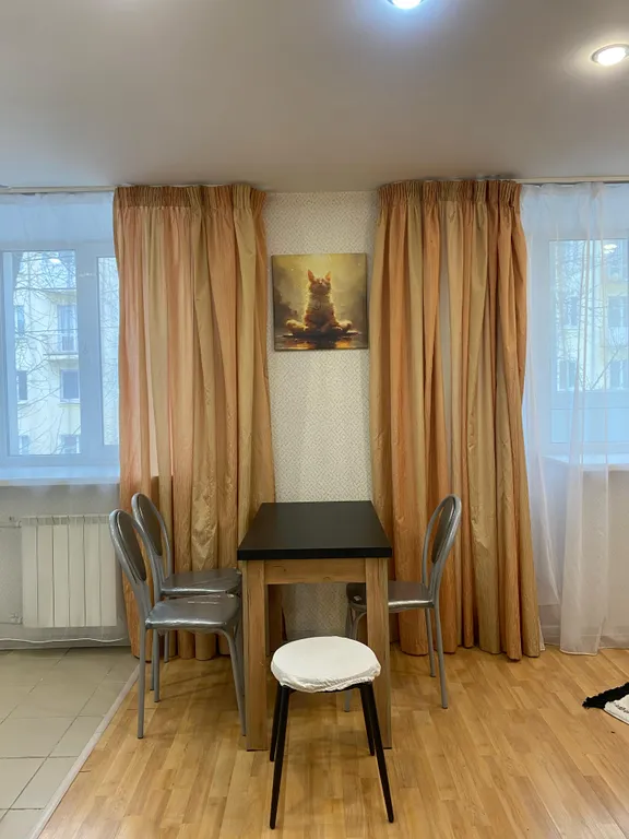 Уютная студия,  центр города