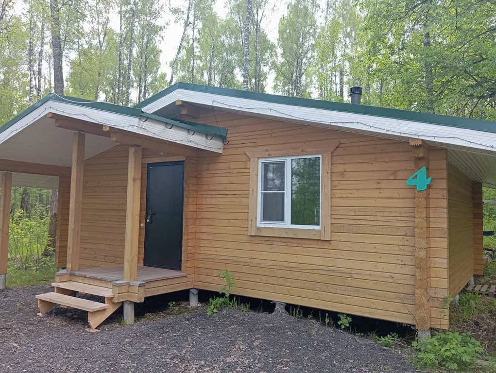 Дом в Подмосковье в лесу, со всеми удобствами