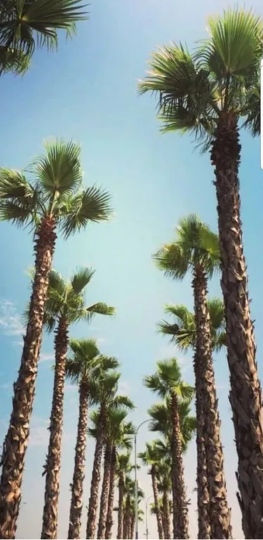 Квартира Квартира Дом у моря Даблрум люкс — Сириус