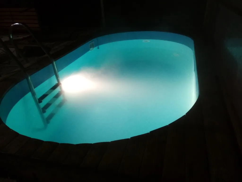 Студия со всем необходимым с видом на лес