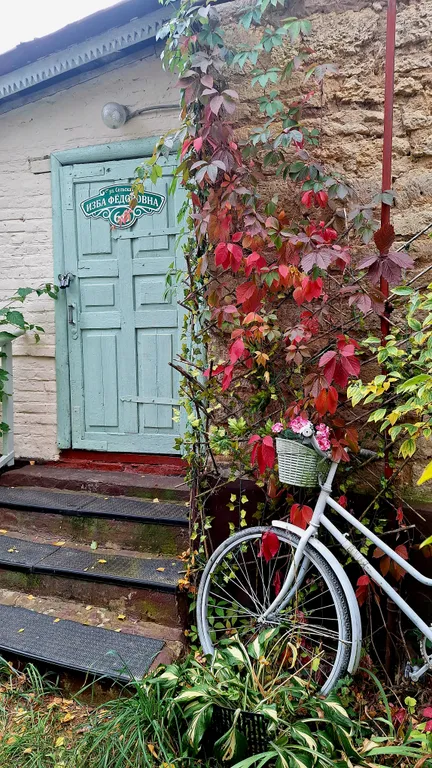 Дом в деревне на Дону в сосновом лесу