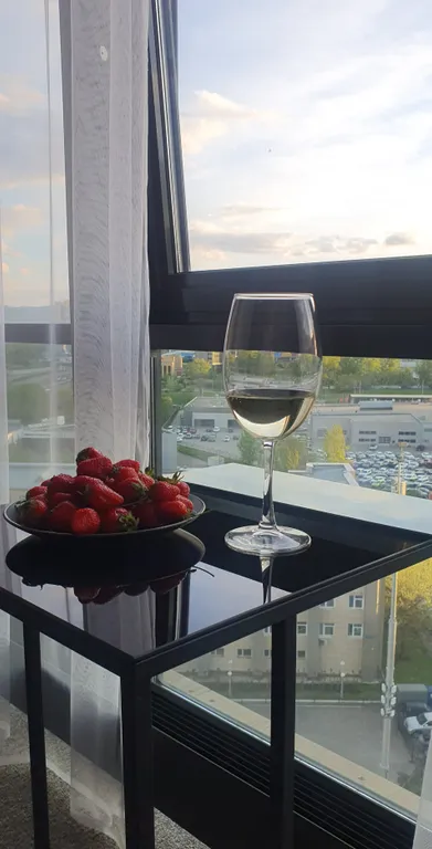 Квартира-студия с фитобочкой и джакузи с панорамным видом в ЖК Scandis