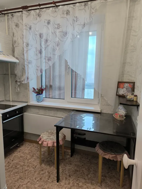 Уютная однокомнатная квартира с красивым видом