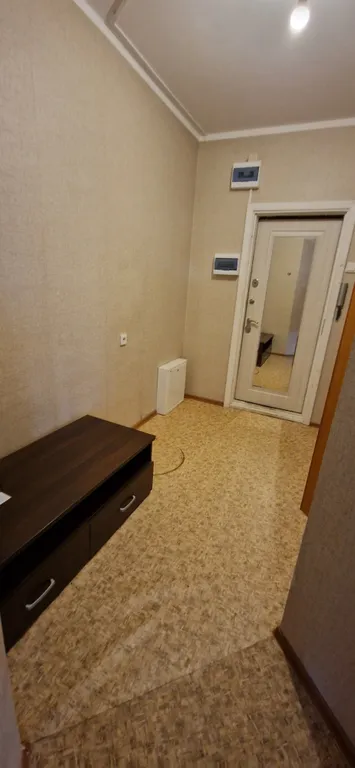 Просторная однокомнатная квартира.