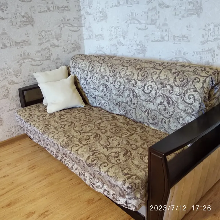 Просторная квартира у филармонии