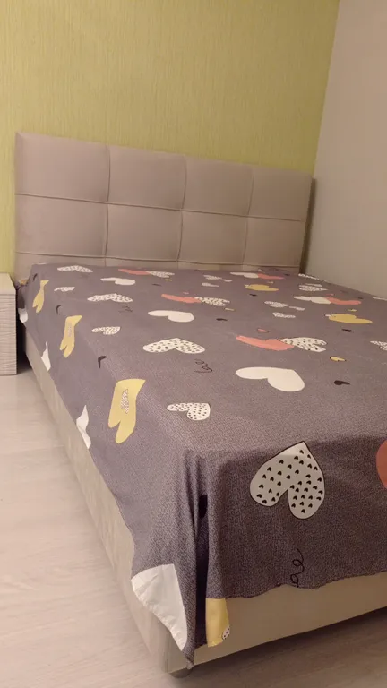 Красивая чистая квартира с красивым видом на арену