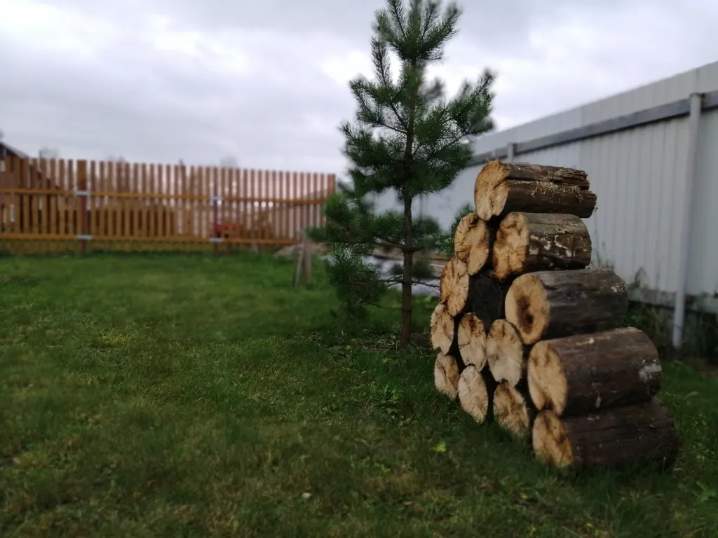 Родные пенаты