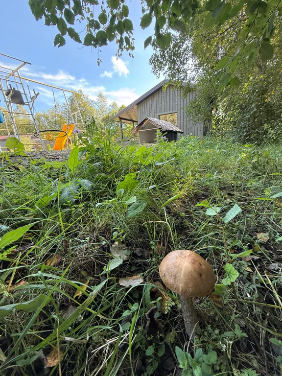 Дом в окружении заповедного леса у подножия горы Варамяки