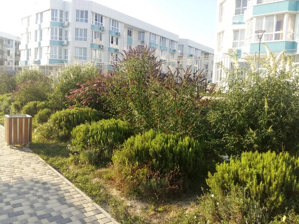 Квартира Квартира Апартамент на берегу моря с бассейном — Севастополь