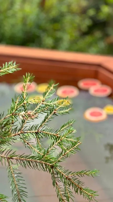 Уютный дом в лесной тиши