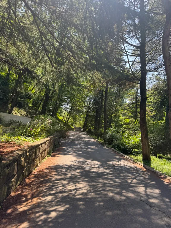 Оазис на море