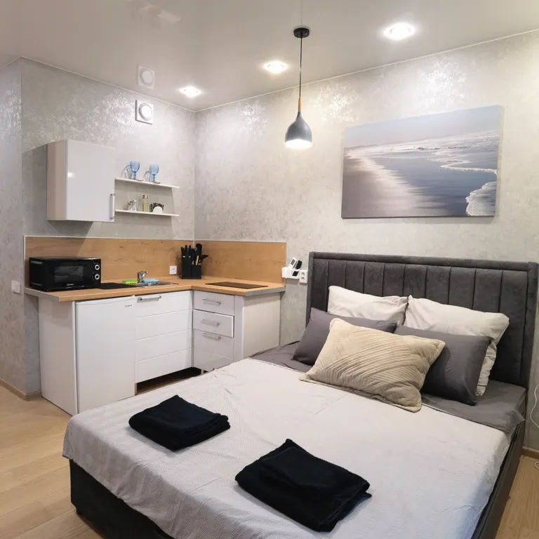 Студия Бриз с кондиционером в центре города