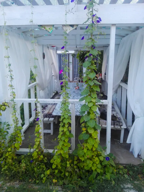 5-комнатный Дом