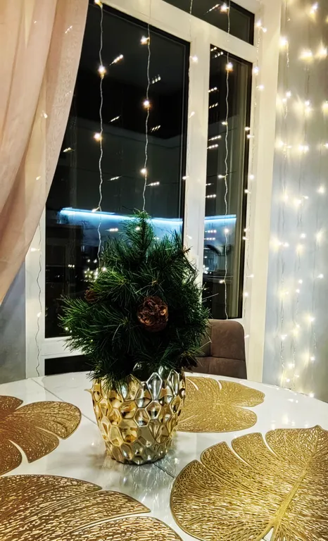 Уютная квартира с панорамным видом на Онего