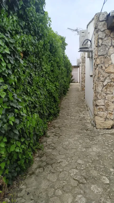 Аппартамент у моря в соснах