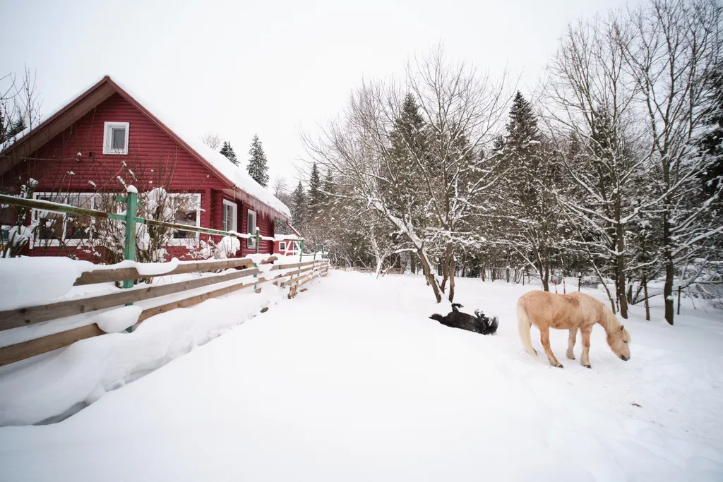 Уютный жилой зимний дом в сказочно живописном месте