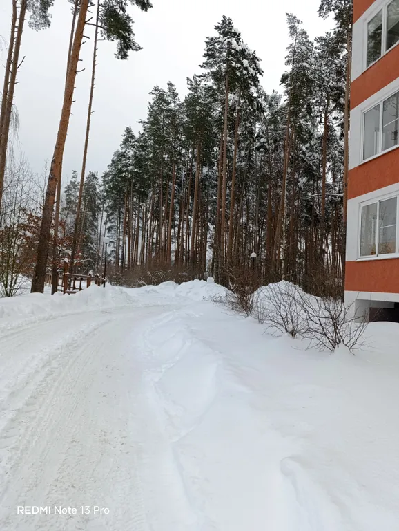 Квартира Квартира Яхонтовый лес Студия — Ногинск