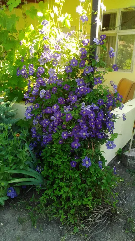 Номер у моря