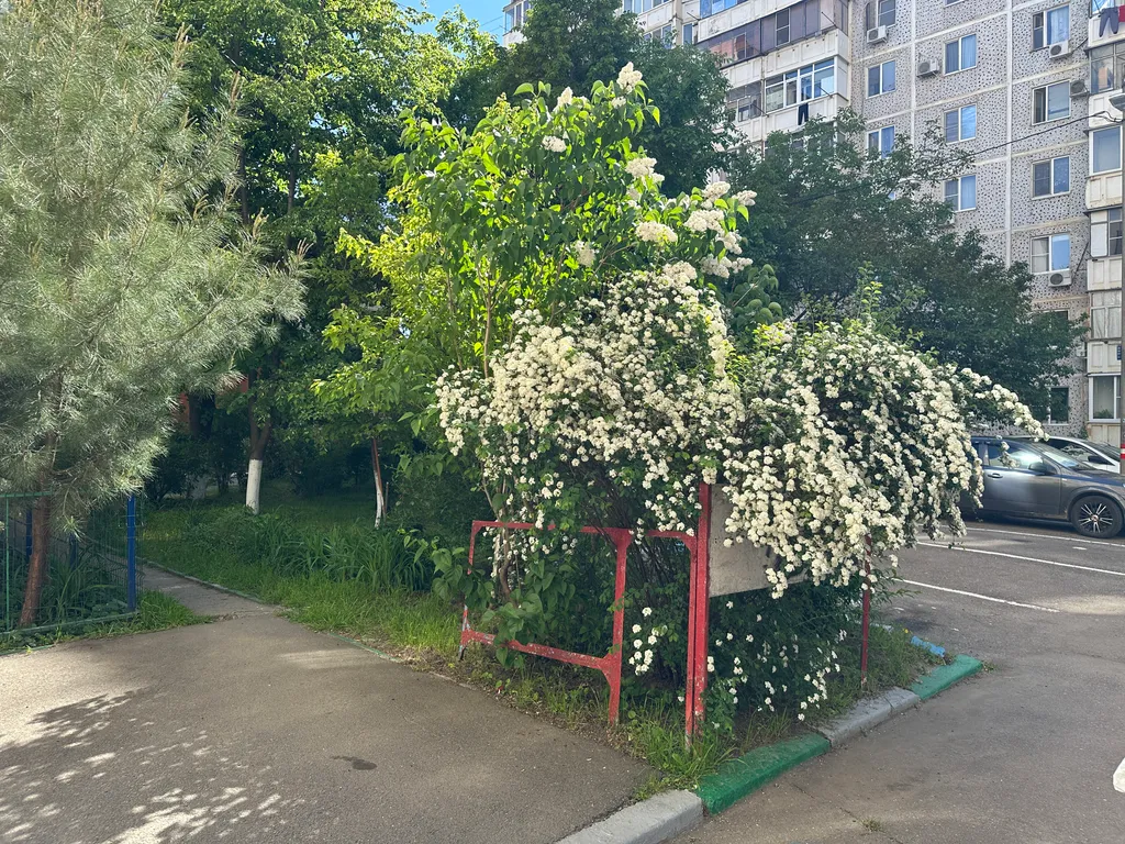 Квартира Комфортная просторная квартира — Краснодар