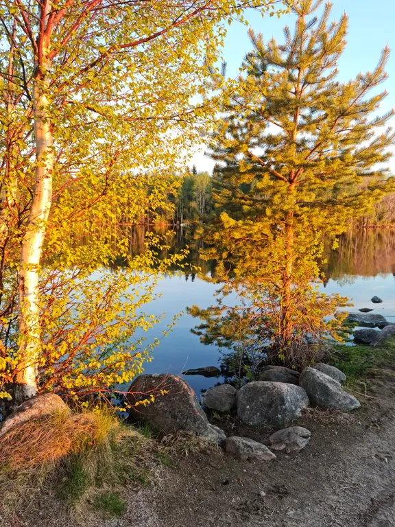 Уютный дом на озере Сямозеро