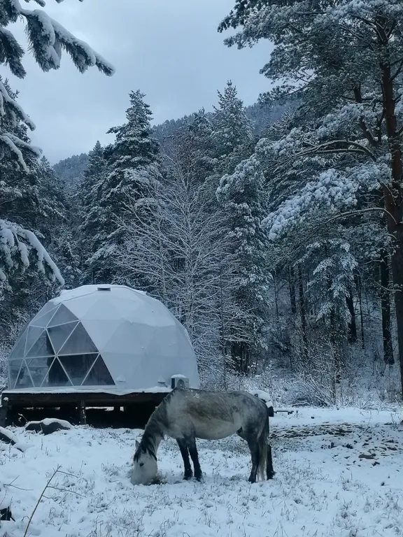 Шатер купольный в горах