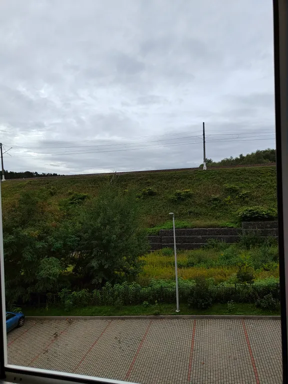 Квартира Уютная квартира около озера Тихое — Светлогорск