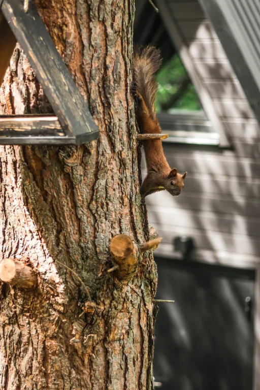 Уютный домик с панорамным видом на горы и лес