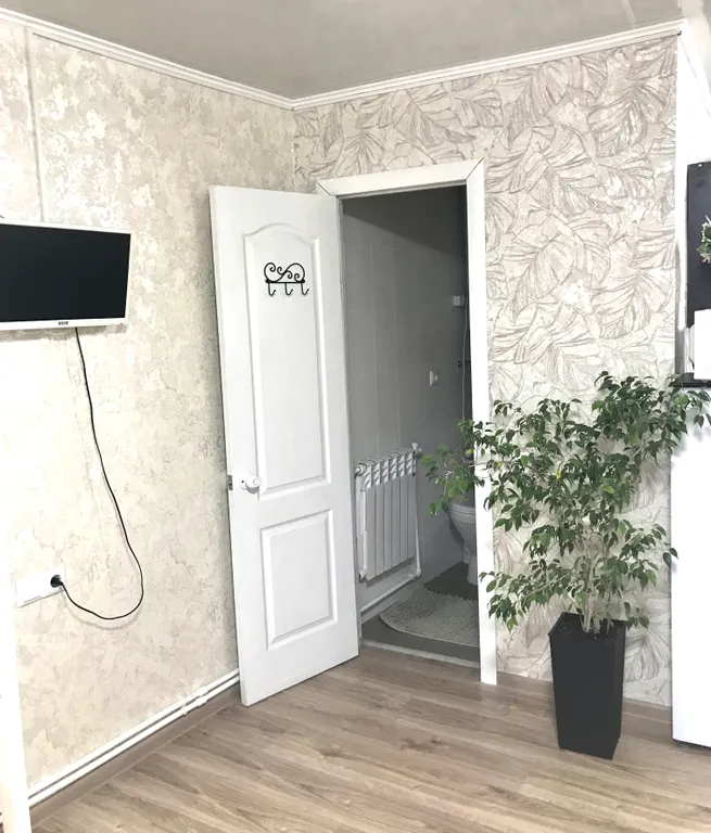 Студия в центре