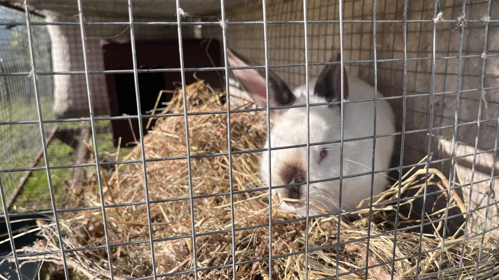 Дом на берегу Волги